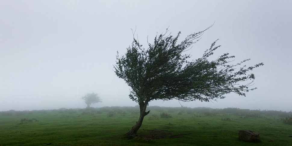 Met Éireann issues status yell...