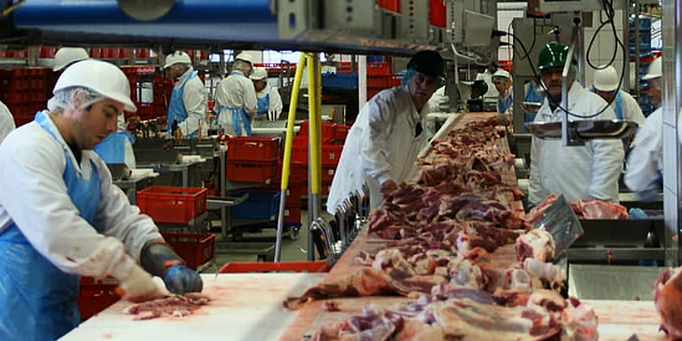 Meat factory in Monaghan becom...