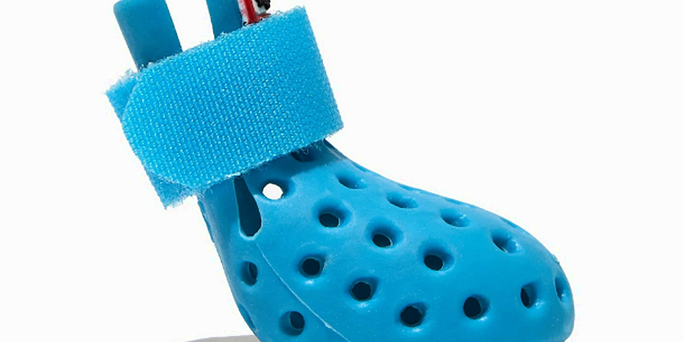 You can now buy crocs for your...