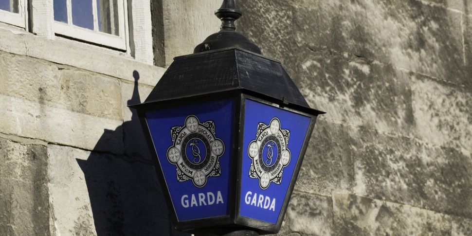 Gardai investigating alleged s...