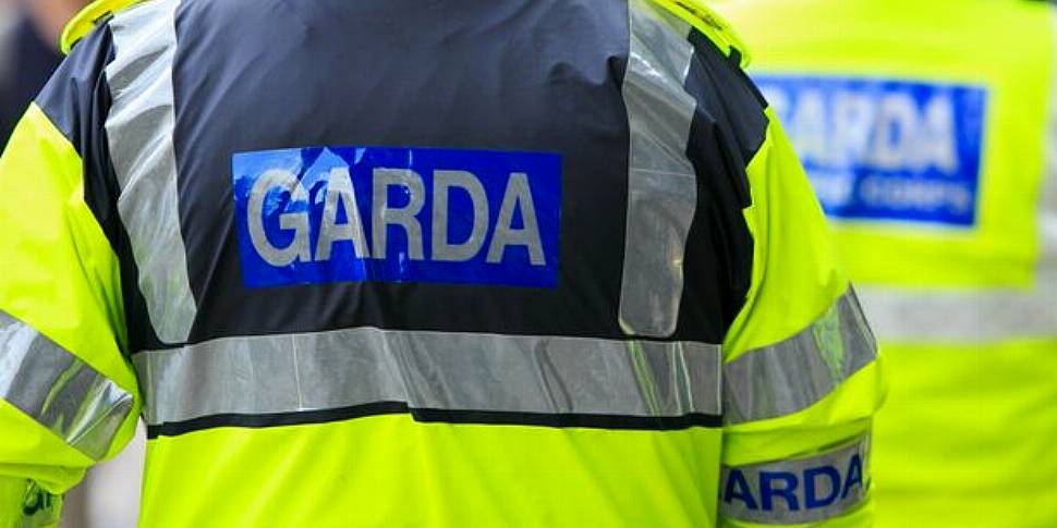 Gardai investigate the discove...