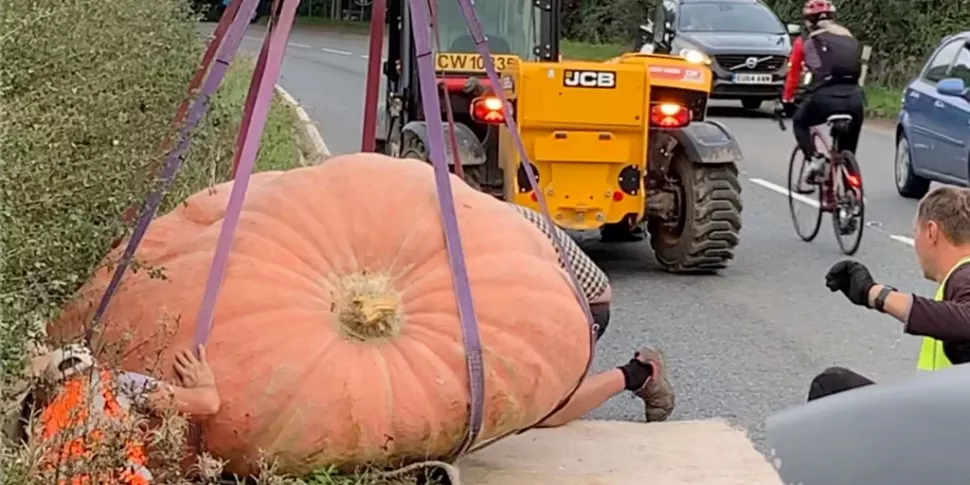 Monster pumpkin causes havoc i...