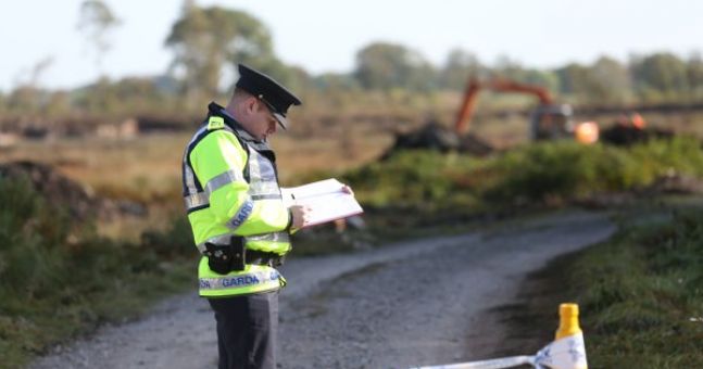 Schoolgirl dies after 'absolutely tragic' accident on farm in Co Armagh | The Irish Post