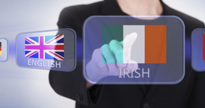 best language program for irish