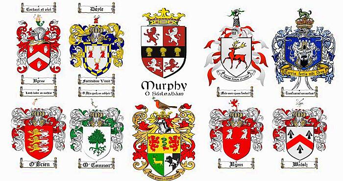 The Top 10 Most Common Irish Family Crests And What Their Mottos Mean The Irish Post