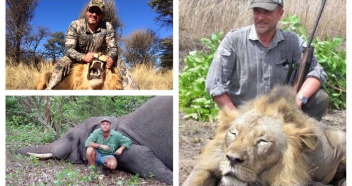 5 times wild animals had the last laugh on big-game hunters | The Irish Post