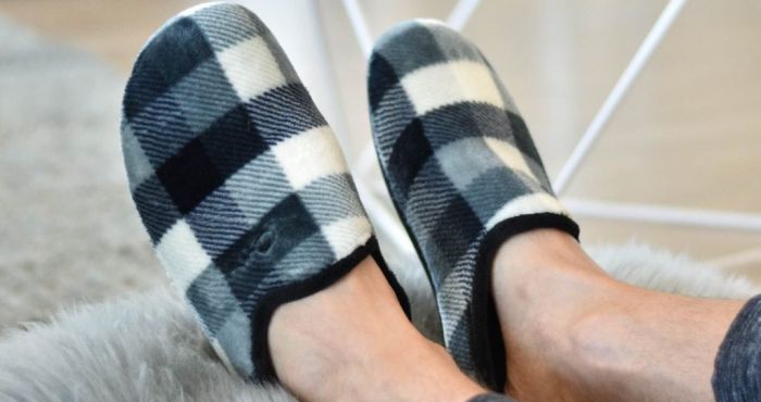 Dream Job Alert Get Paid 4 500 A Year To Stay At Home All Day Wearing Slippers The Irish Post