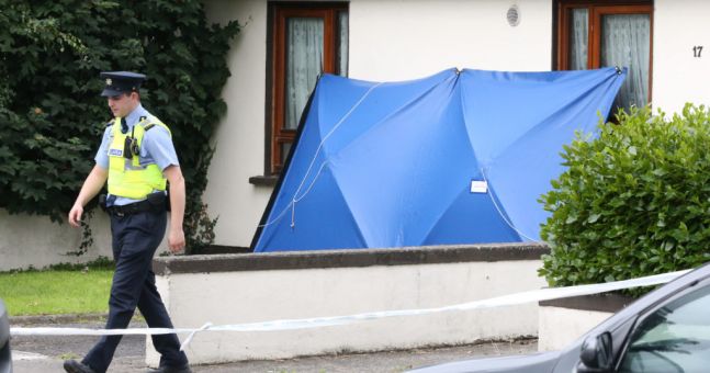 Irish Pensioner Killed With Machete Outside Dublin Home The Irish Post