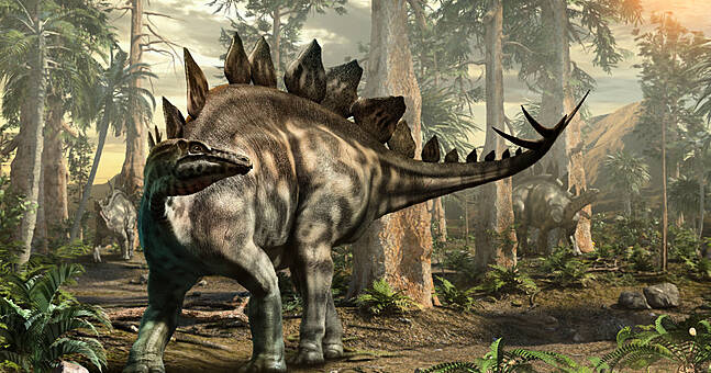 first dinosaur bones discovered