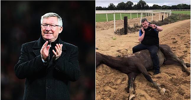 Alex Ferguson Contacted Horse Racing Trainer Gordon Elliott Telling Him ...