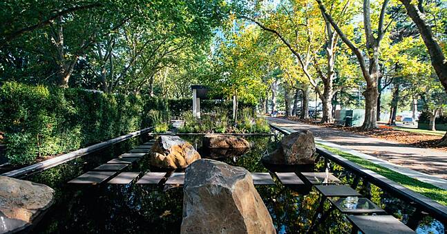 Garden designer makes history as first Irish person to win gold at prestigious Australian flower show