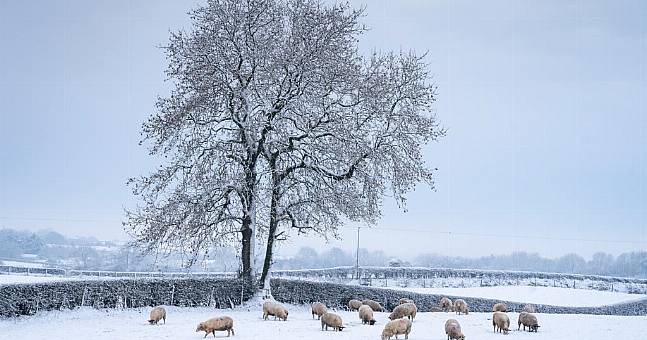 WEATHER warnings have been issued for a number of counties in Ireland as “significant snowfall" i...