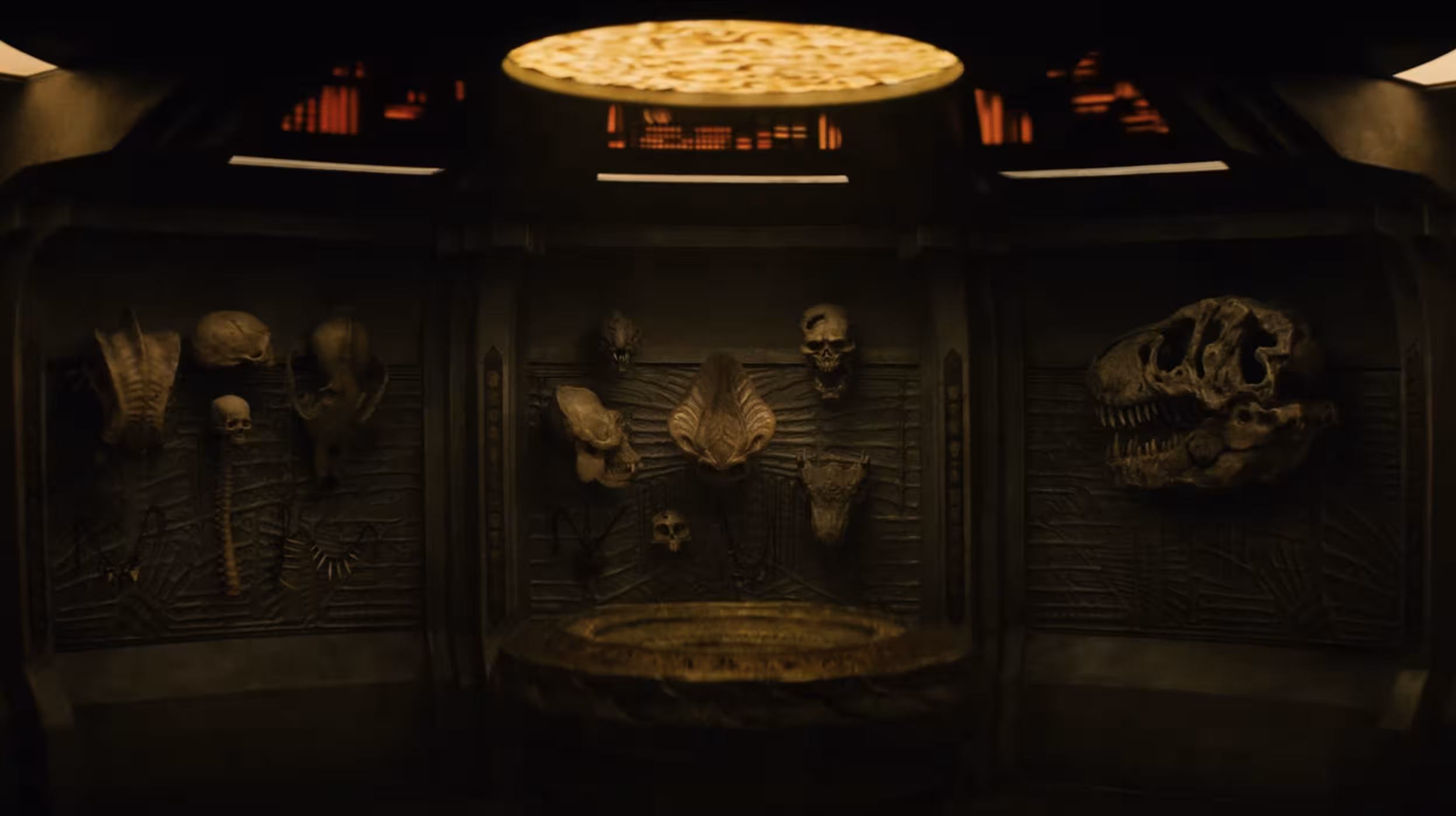 Predator: Badlands - What to expect, Cast, And Release Date