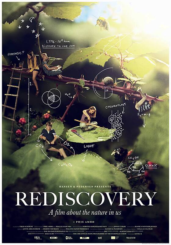 Rediscovery