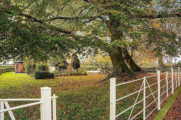 Ashfield Bridge, Ballynakill, Broadford, W91 KA97