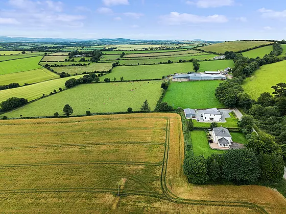 Monawilling Upper, Oulart, Y25 C990