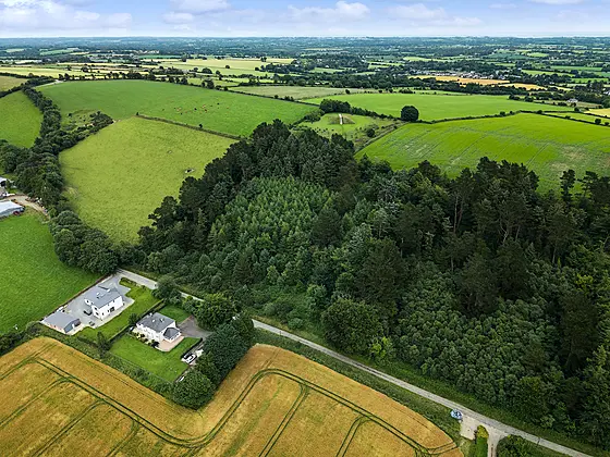 Monawilling Upper, Oulart, Y25 C990