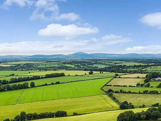 Monawilling Upper, Oulart, Y25 C990
