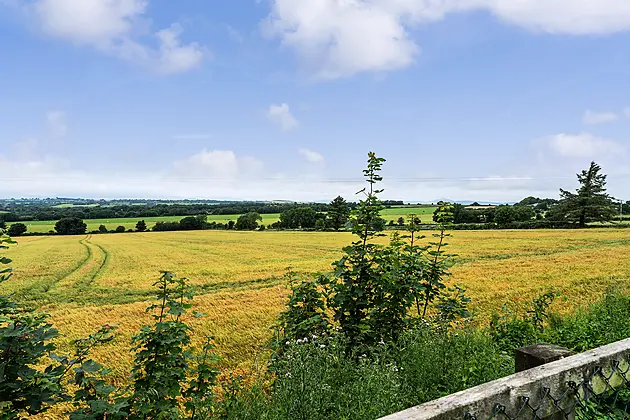 Monawilling Upper, Oulart, Y25 C990