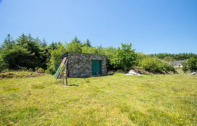 Shelmalier Commons, Barntown, Wexford