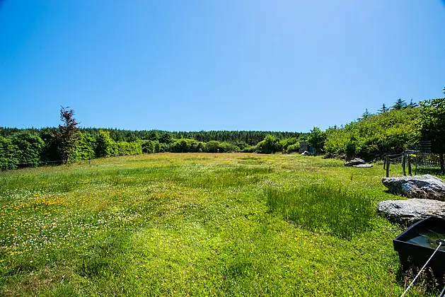 Shelmalier Commons, Barntown, Wexford