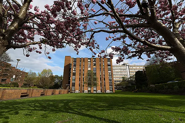 18 Rowan House, Mespil Estate, Ballsbridge, Dublin 4