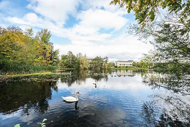 132 Temple Court, Northwood, Santry, Dublin 9