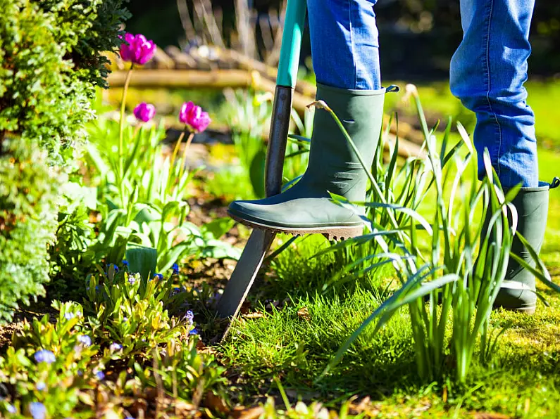 Getting your garden ready for summer