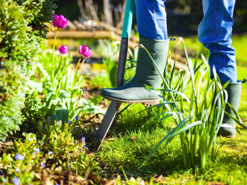 Getting your garden ready for summer