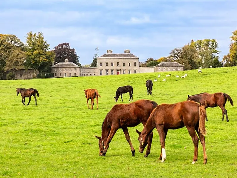 Five of the best homes for horses