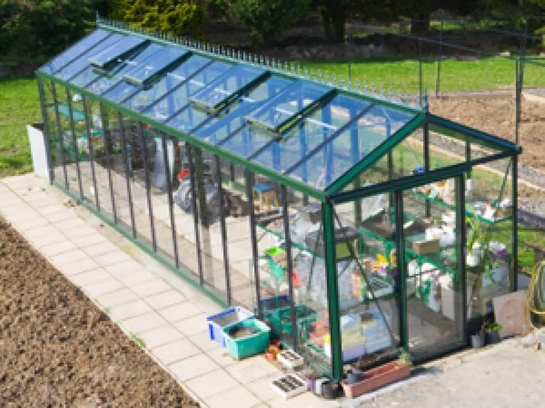 Spring Clean your Greenhouse