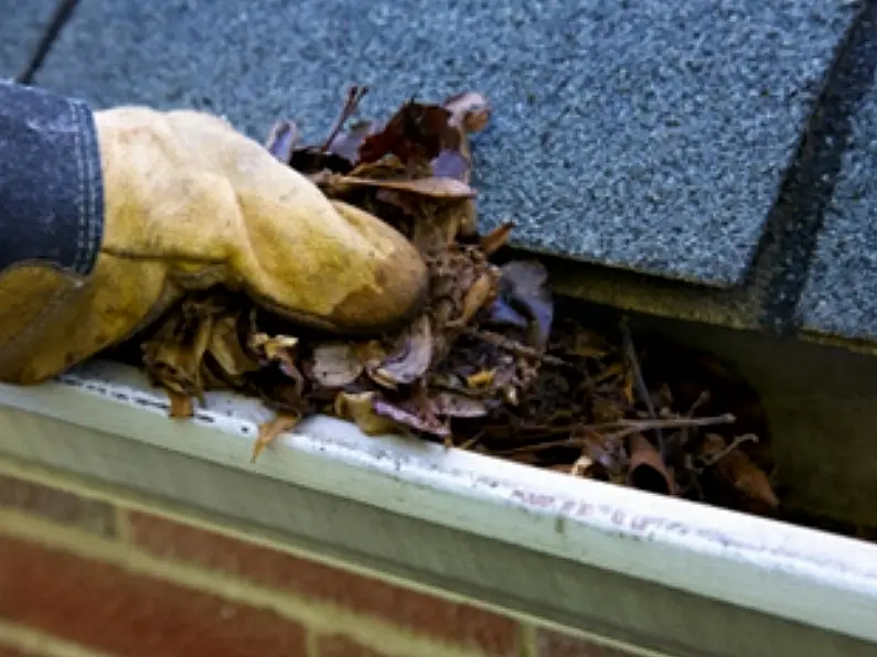 How to clean gutters