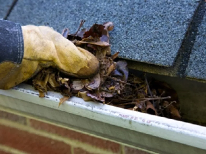 How to clean gutters