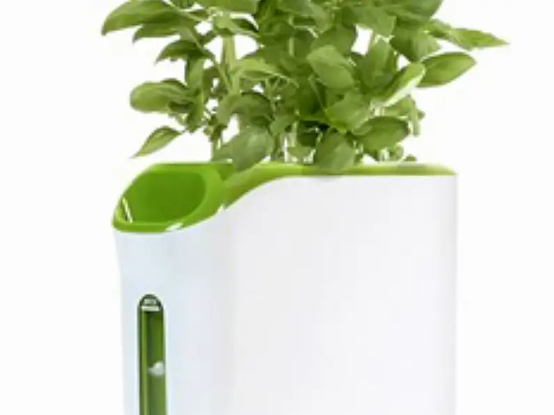 Gadget of the week: Power Plant growing machine