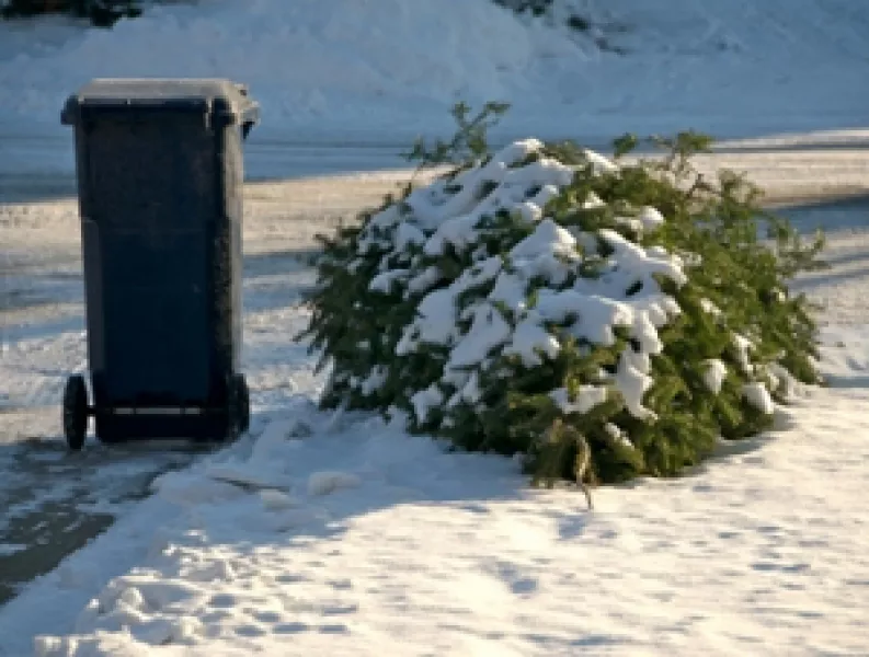 Recycle your Christmas tree!