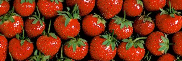 Growing your own Strawberries