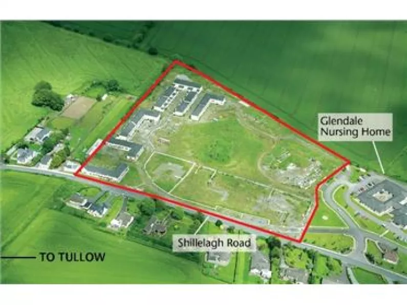 Two Carlow developments to go under the hammer today