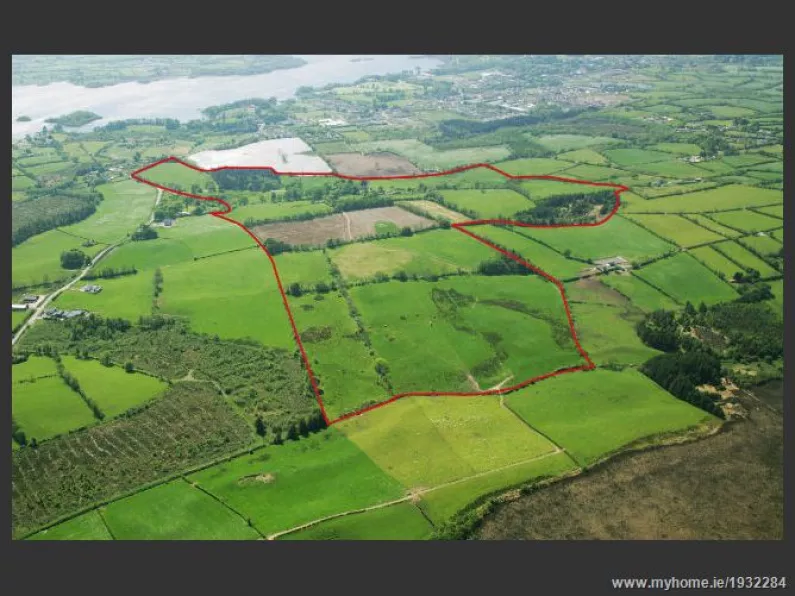 Cavan estate fails to sell at auction