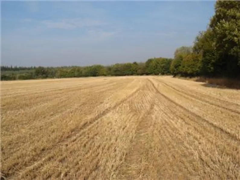 Laois farm to go under the hammer