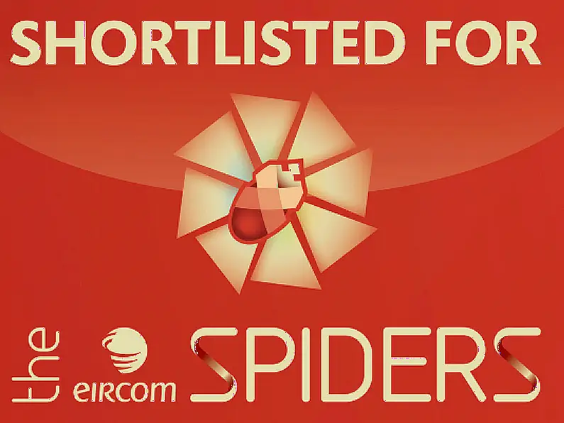 MyHome.ie nominated for Eircom Spider Award