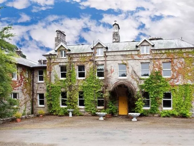 Limerick woman Dolores understood to have bought multi-million euro mansion