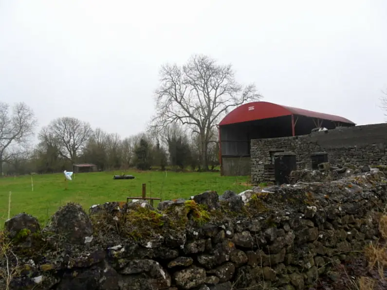 Land to be auctioned off in Ballinasloe