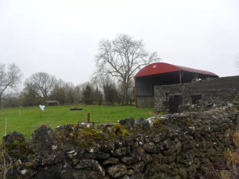Land to be auctioned off in Ballinasloe
