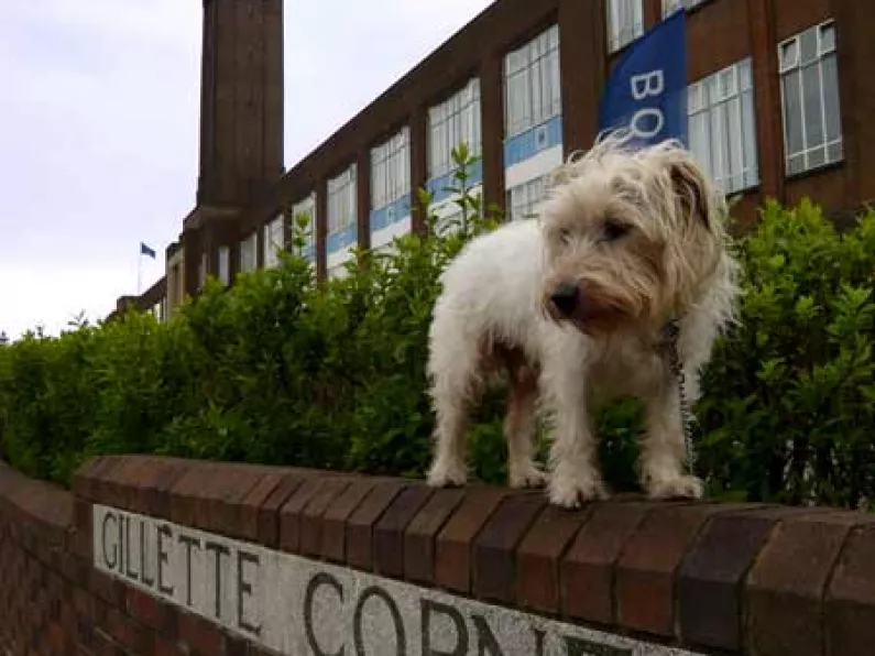 London landmark put up for sale by NAMA