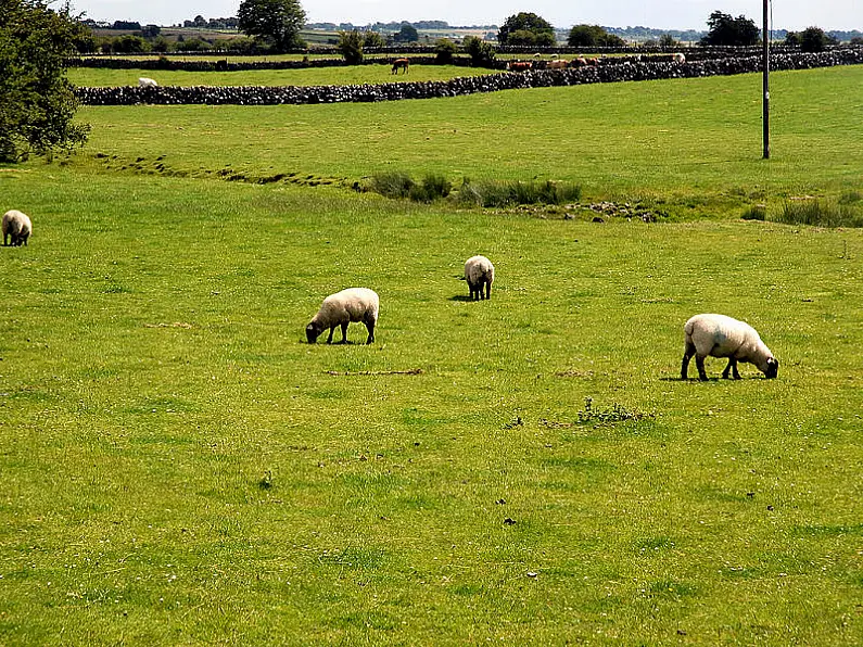 Price of farm land rose by 14.3% last year