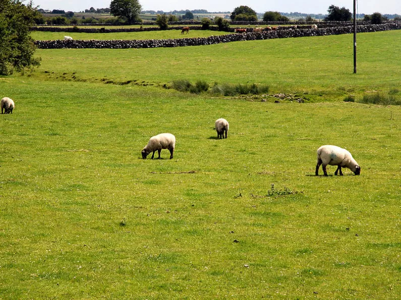 Price of farm land rose by 14.3% last year
