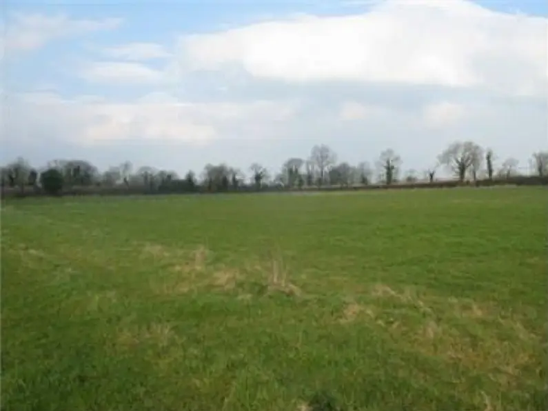 Limerick farm sells at auction for €192,000