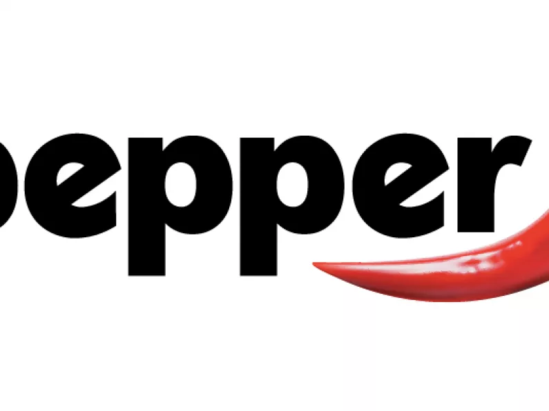 Pepper to offer home loans in Ireland from February 1st