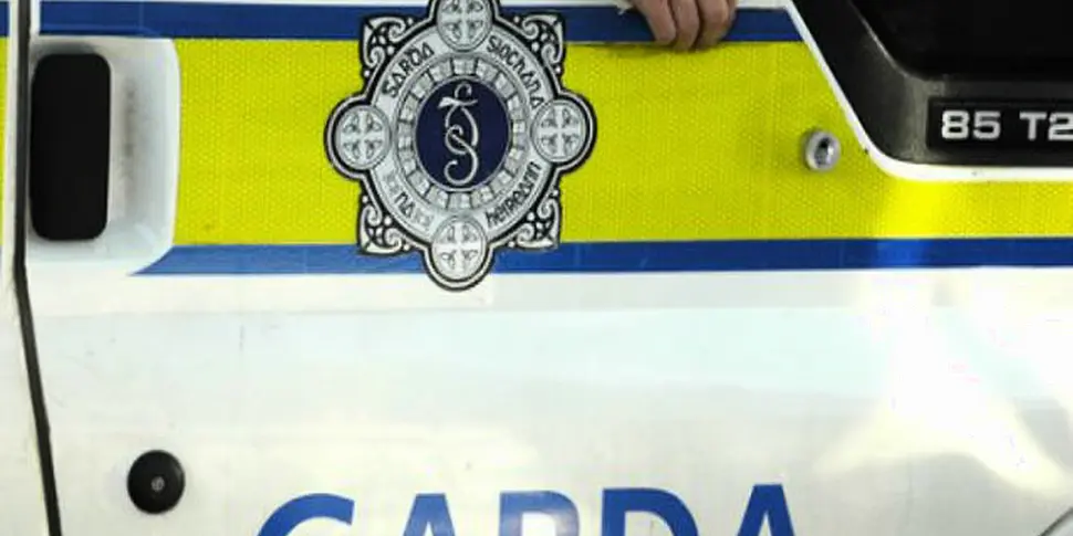 Gardai calling for witnesses t...