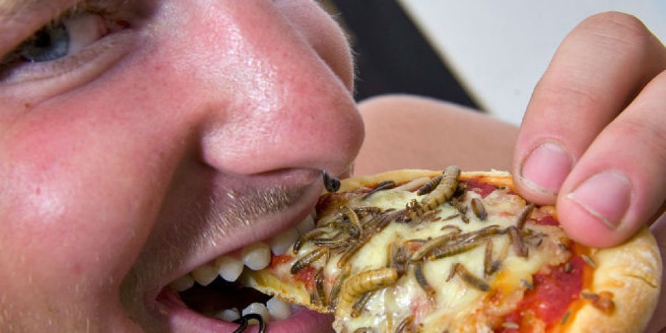 Fancy some grasshopper pizza?...